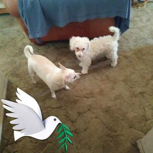 Meet your Posher, Candice